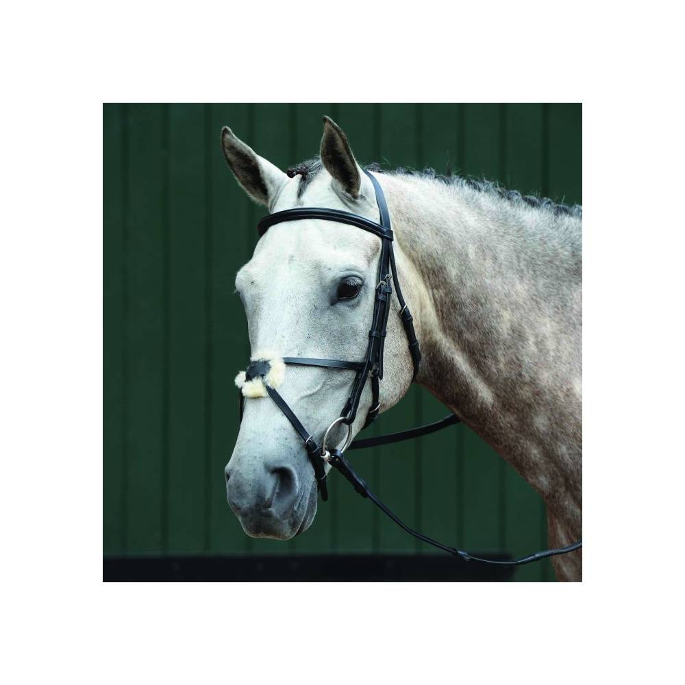 Collegiate Essential Flash Noseband Collegiate Essential Flash Noseband